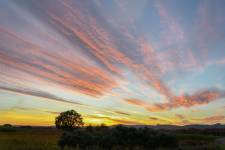 Nathalie VINCENT APONTE - NAVA 3.0