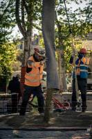 Manon FOLLAIN - MANON FOLLAIN PHOTOGRAPHE