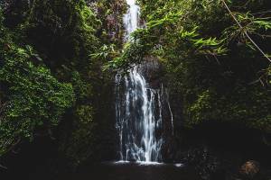 JOSÉ MANUEL PACHECO - JOSE MANUEL PACHECO