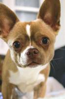 Celia DUTIL - L'oeil de Lucie  Photographie