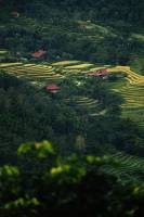 Noémy SMECICAS - SMECICAS NOEMY